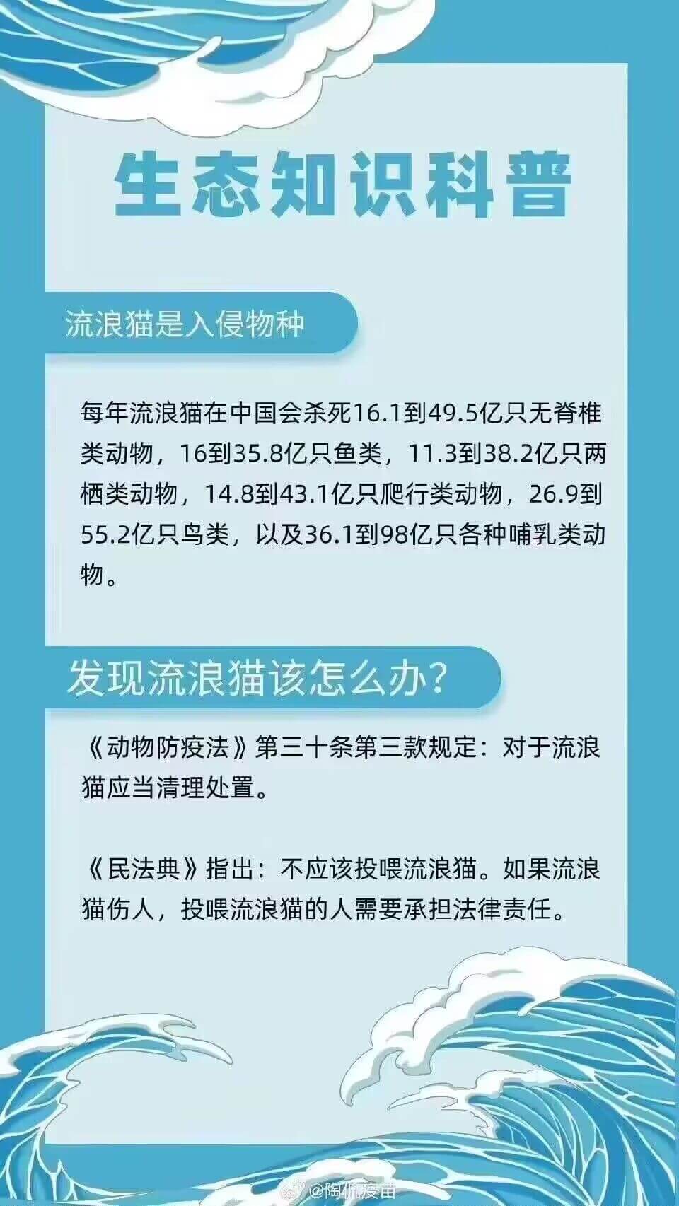 喂流浪猫违法了|南理工紫金学院Club|吐槽·捞捞·闲聊灌水|仙林Club-仙小林(原掌上仙林)